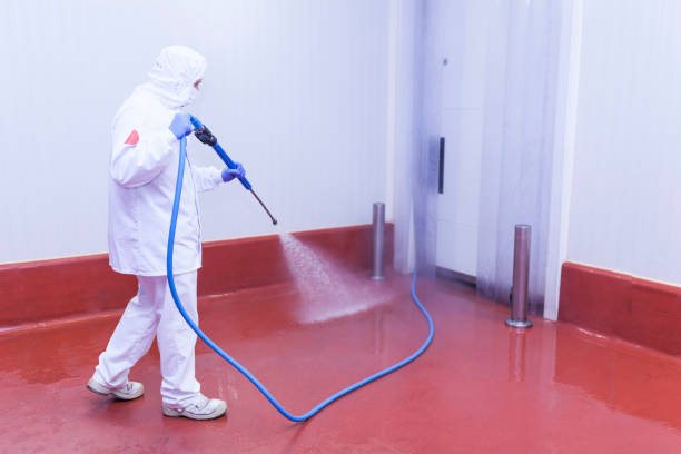 Best Roof Cleaning and Mildew Removal in USA